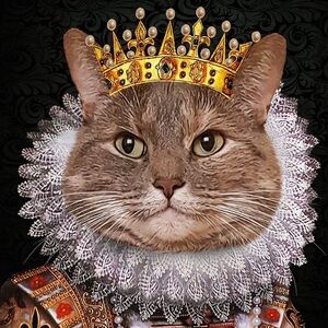 Meet your Posher, Cecilia